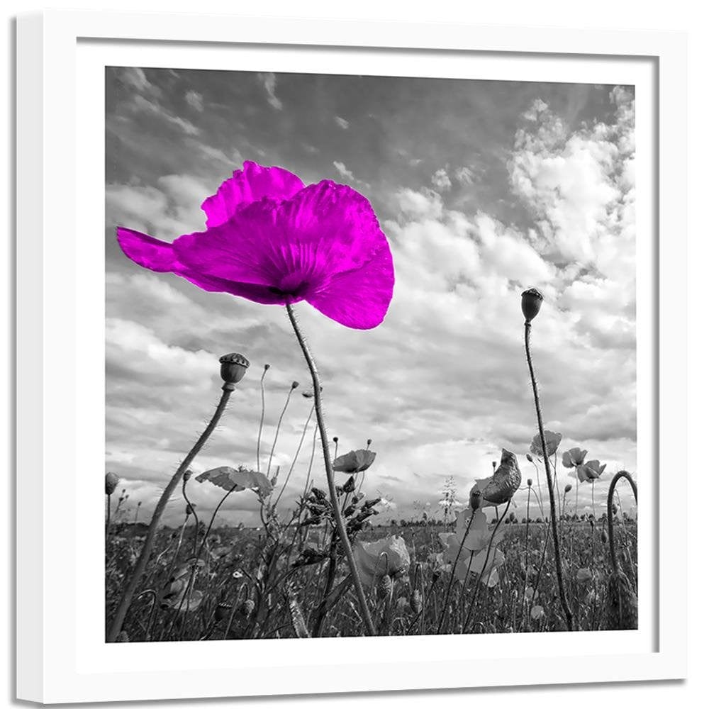 Glezna baltā rāmī - Purple Poppy  Home Trends DECO
