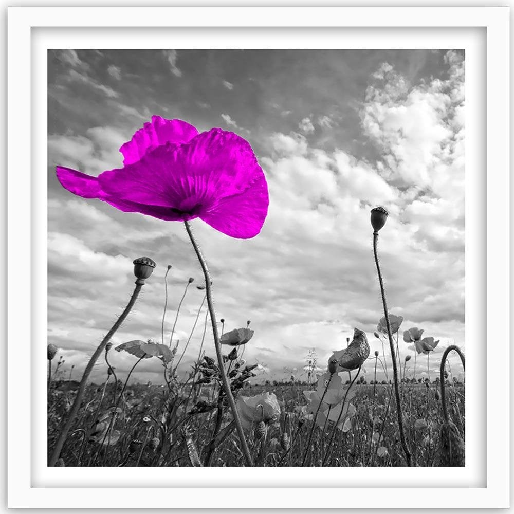 Glezna baltā rāmī - Purple Poppy  Home Trends DECO