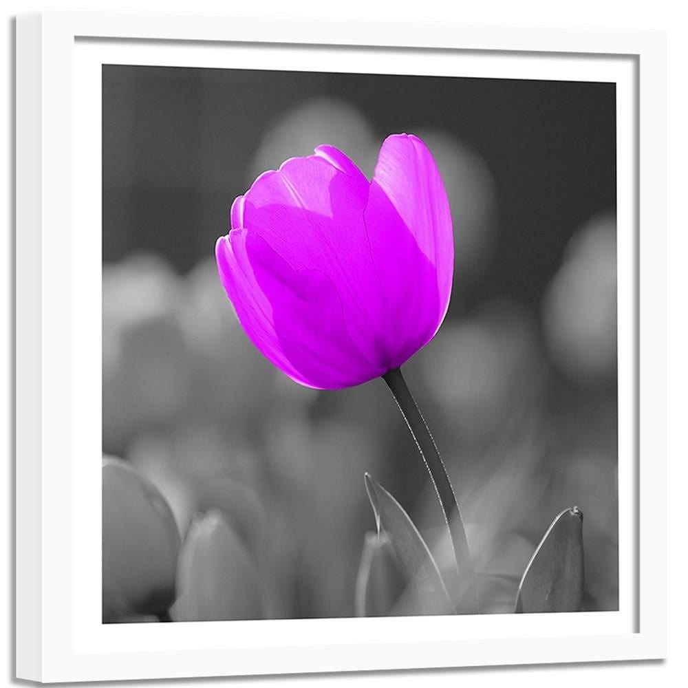 Glezna baltā rāmī - Purple Tulip  Home Trends DECO