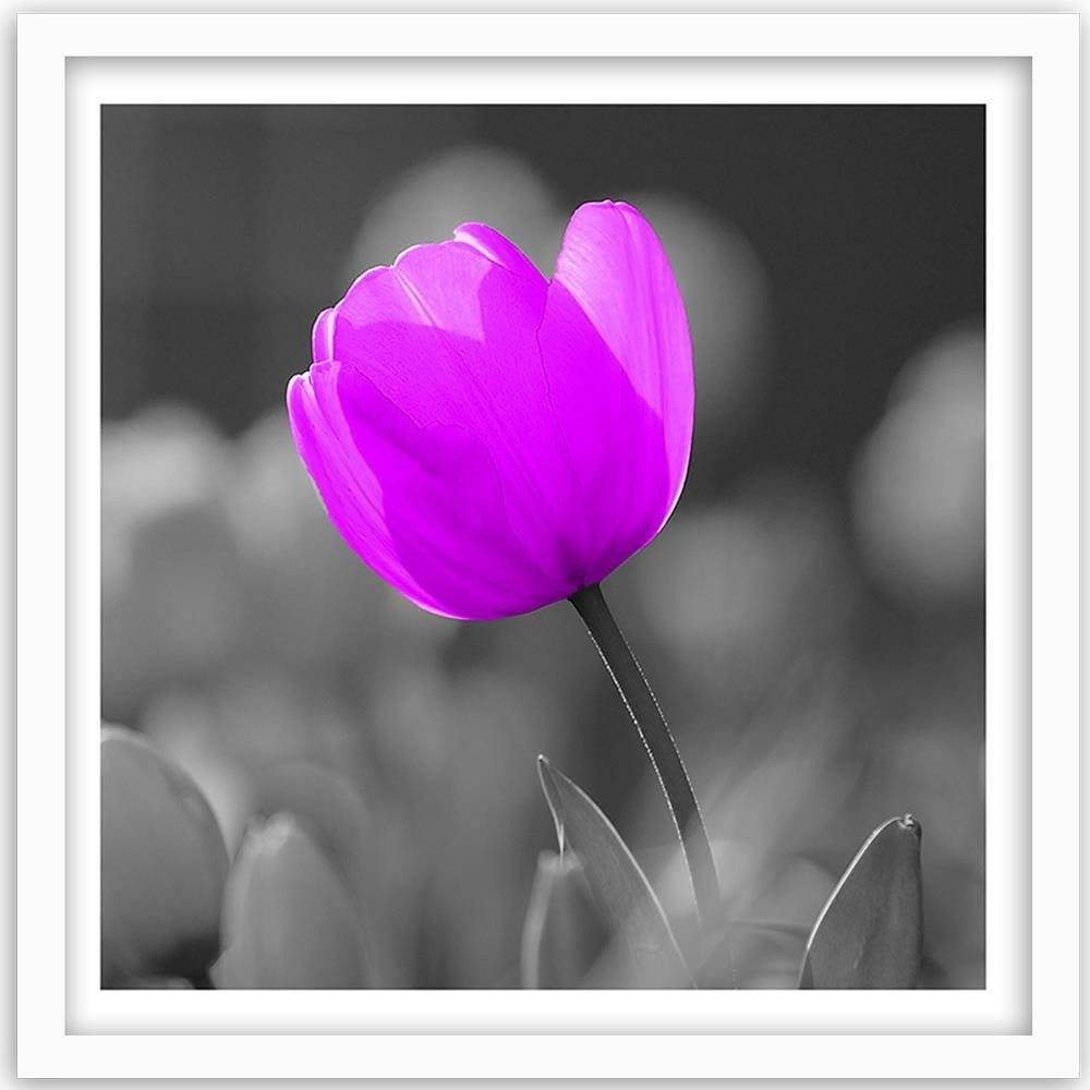 Glezna baltā rāmī - Purple Tulip  Home Trends DECO
