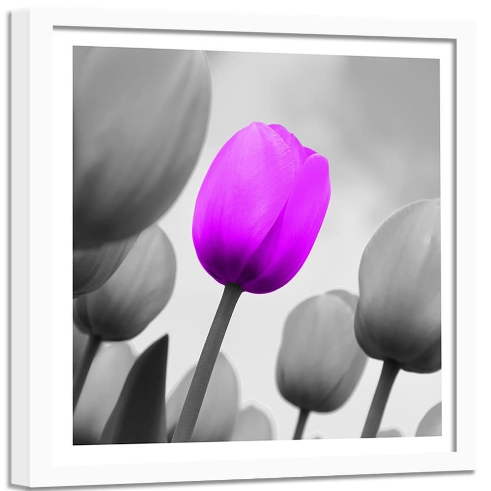 Glezna baltā rāmī - Purple Tulip In Gray  Home Trends DECO