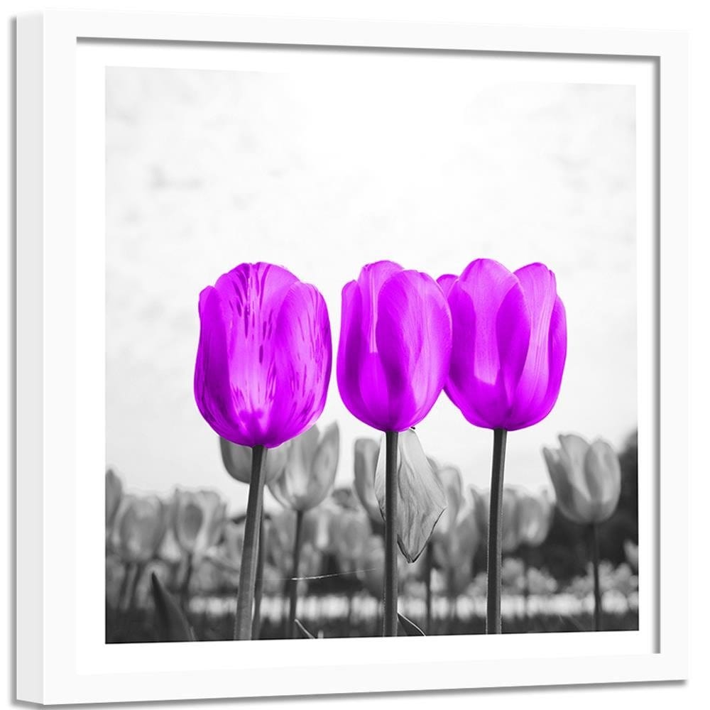 Glezna baltā rāmī - Purple Tulips  Home Trends DECO