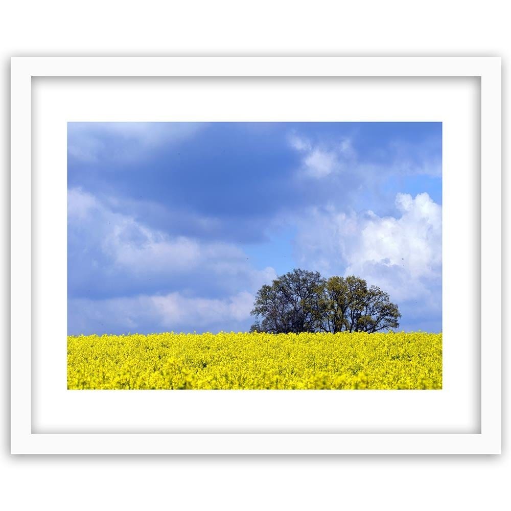 Glezna baltā rāmī - Rapeseed And Trees  Home Trends DECO