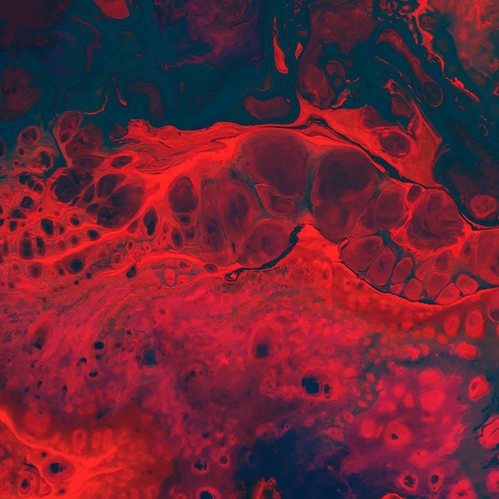Glezna baltā rāmī - Red Abstraction  Home Trends DECO