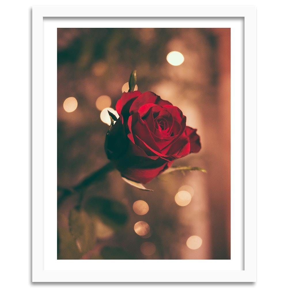 Glezna baltā rāmī - Red Flower Roses  Home Trends DECO