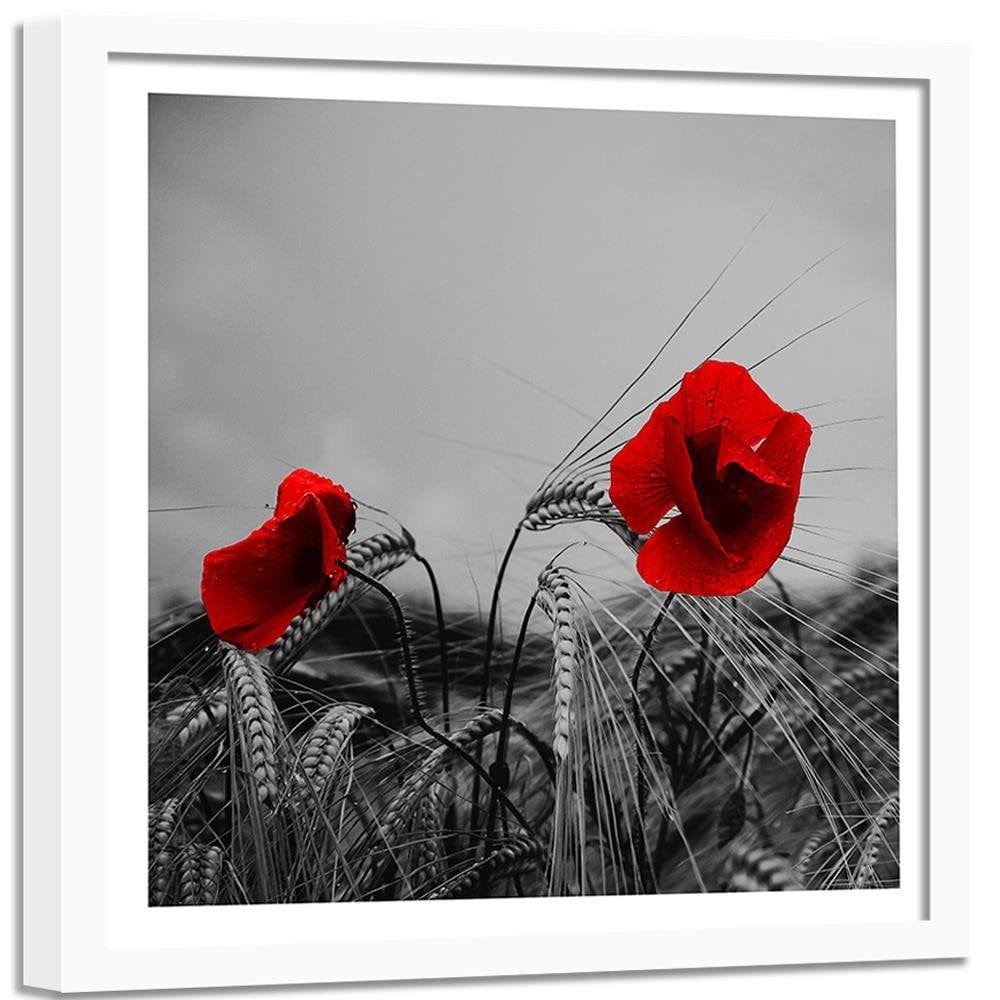 Glezna baltā rāmī - Red Poppies And Corn  Home Trends DECO