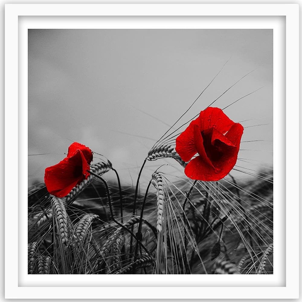 Glezna baltā rāmī - Red Poppies And Corn  Home Trends DECO