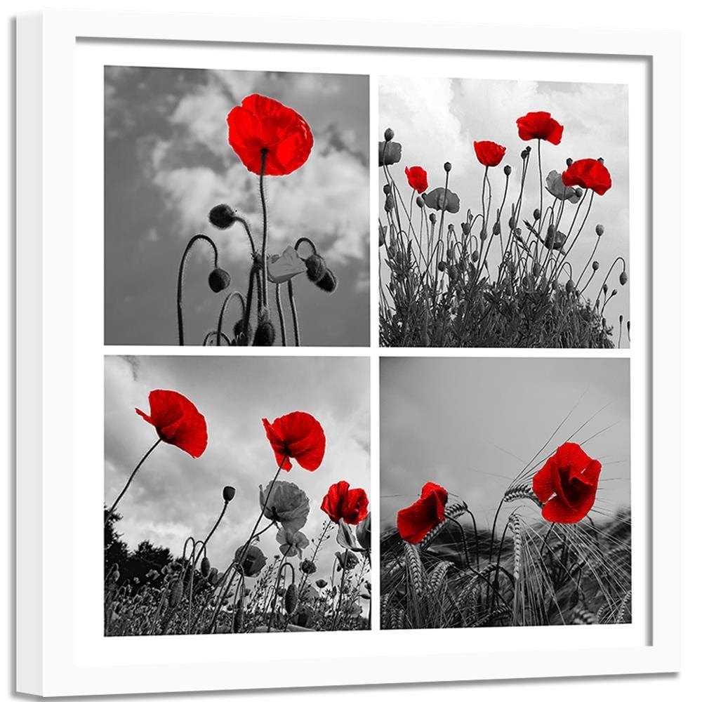 Glezna baltā rāmī - Red Poppies  Home Trends DECO