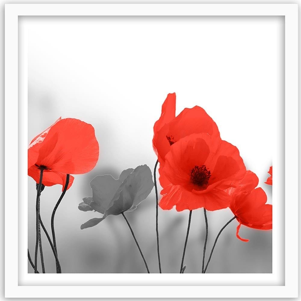 Glezna baltā rāmī - Red Poppies In Gray  Home Trends DECO