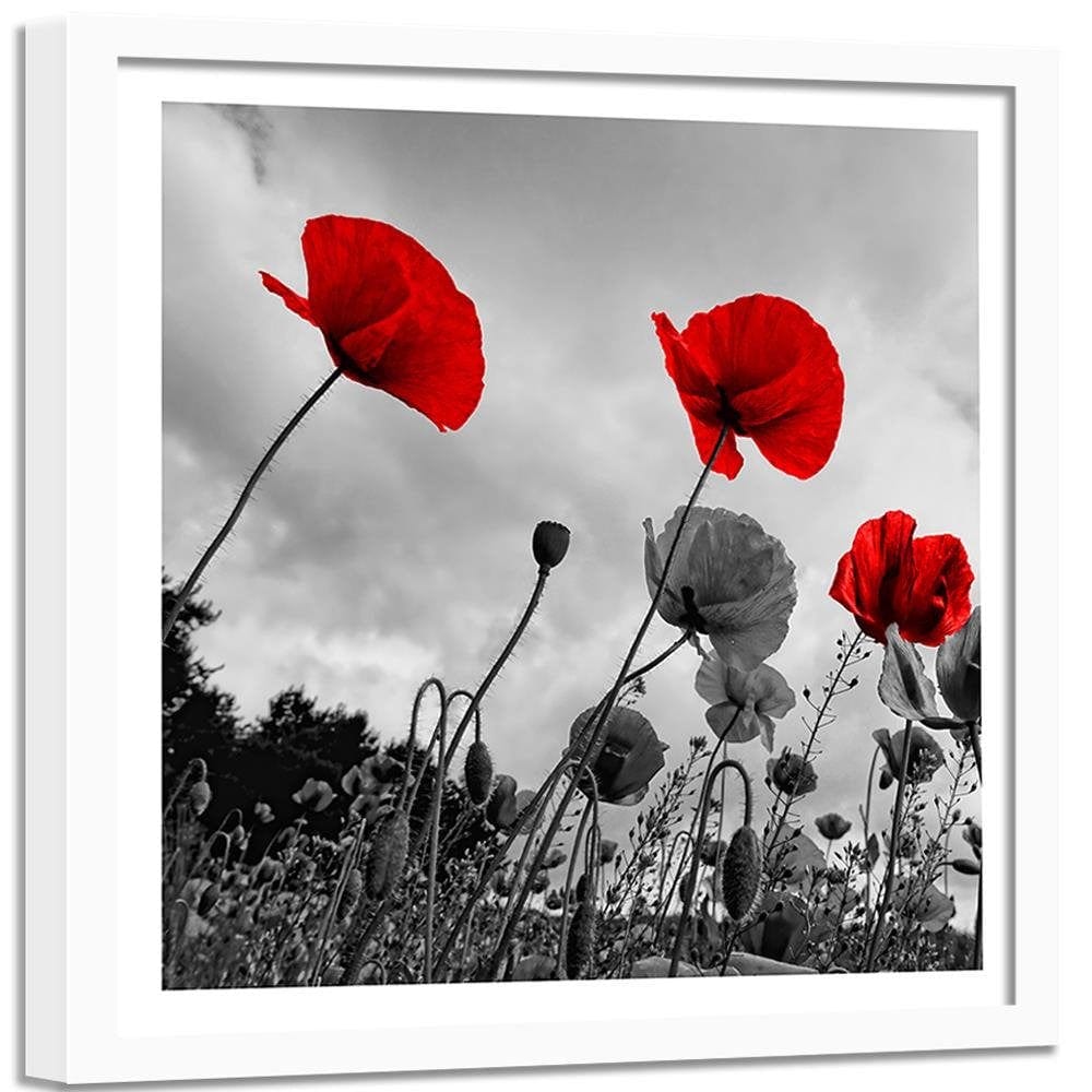 Glezna baltā rāmī - Red Poppies On The Meadow  Home Trends DECO
