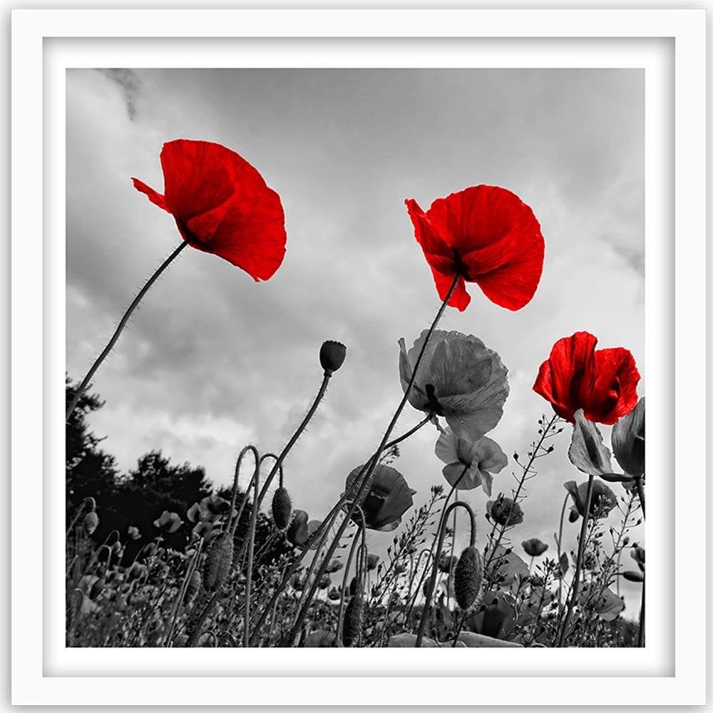 Glezna baltā rāmī - Red Poppies On The Meadow  Home Trends DECO