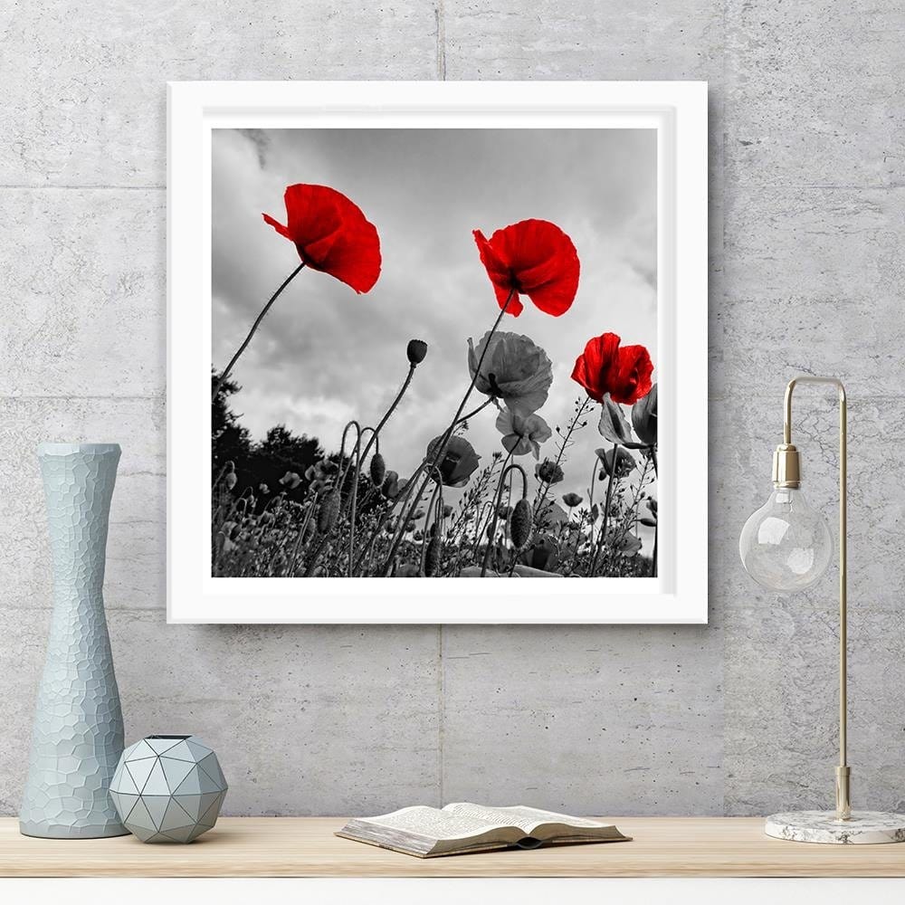 Glezna baltā rāmī - Red Poppies On The Meadow  Home Trends DECO