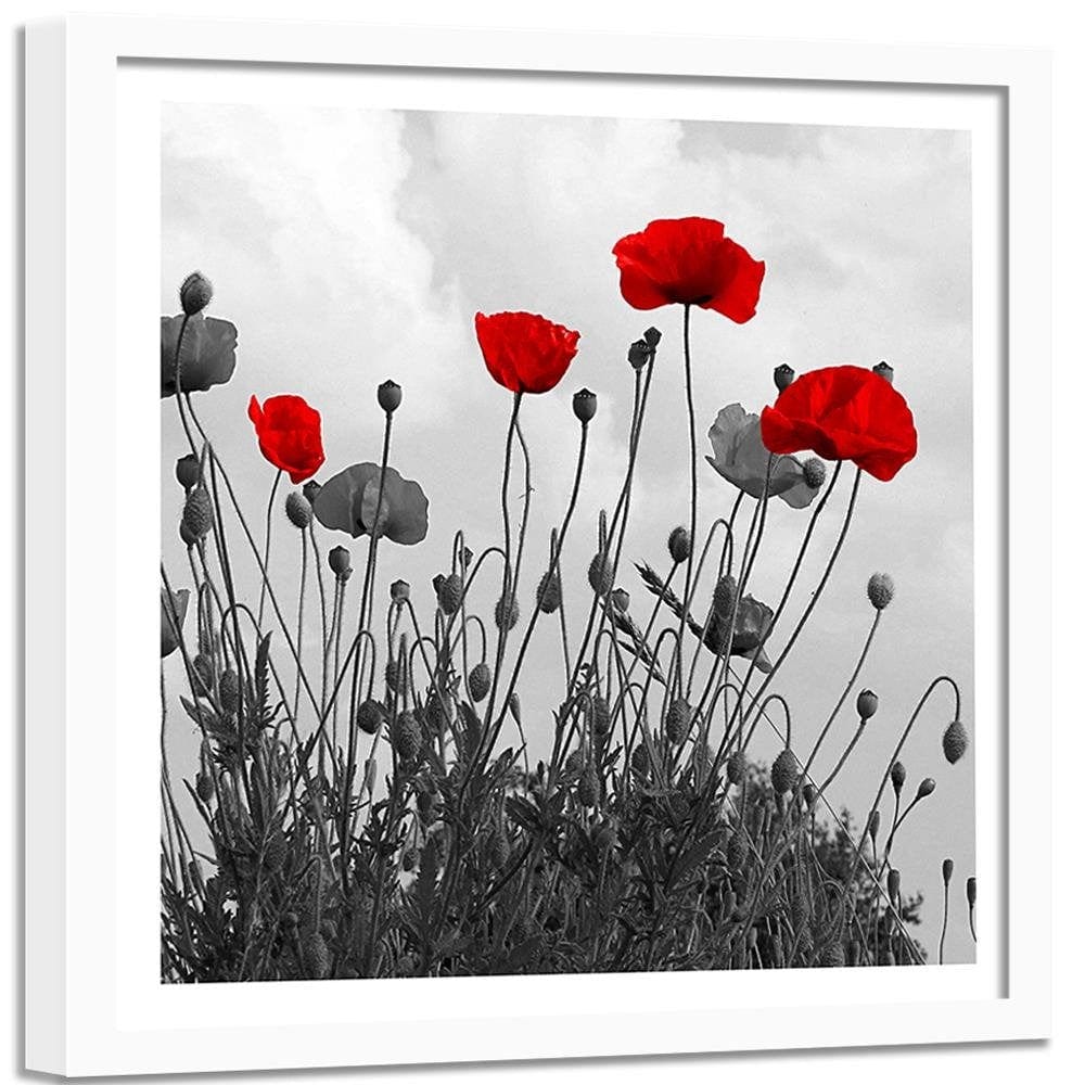 Glezna baltā rāmī - Red Poppy Flowers  Home Trends DECO