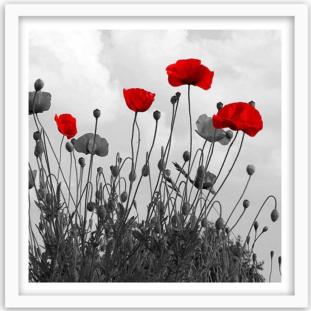 Glezna baltā rāmī - Red Poppy Flowers  Home Trends DECO