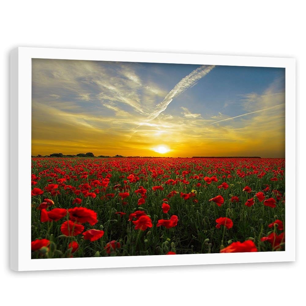 Glezna baltā rāmī - Red Poppy Flowers  Home Trends DECO