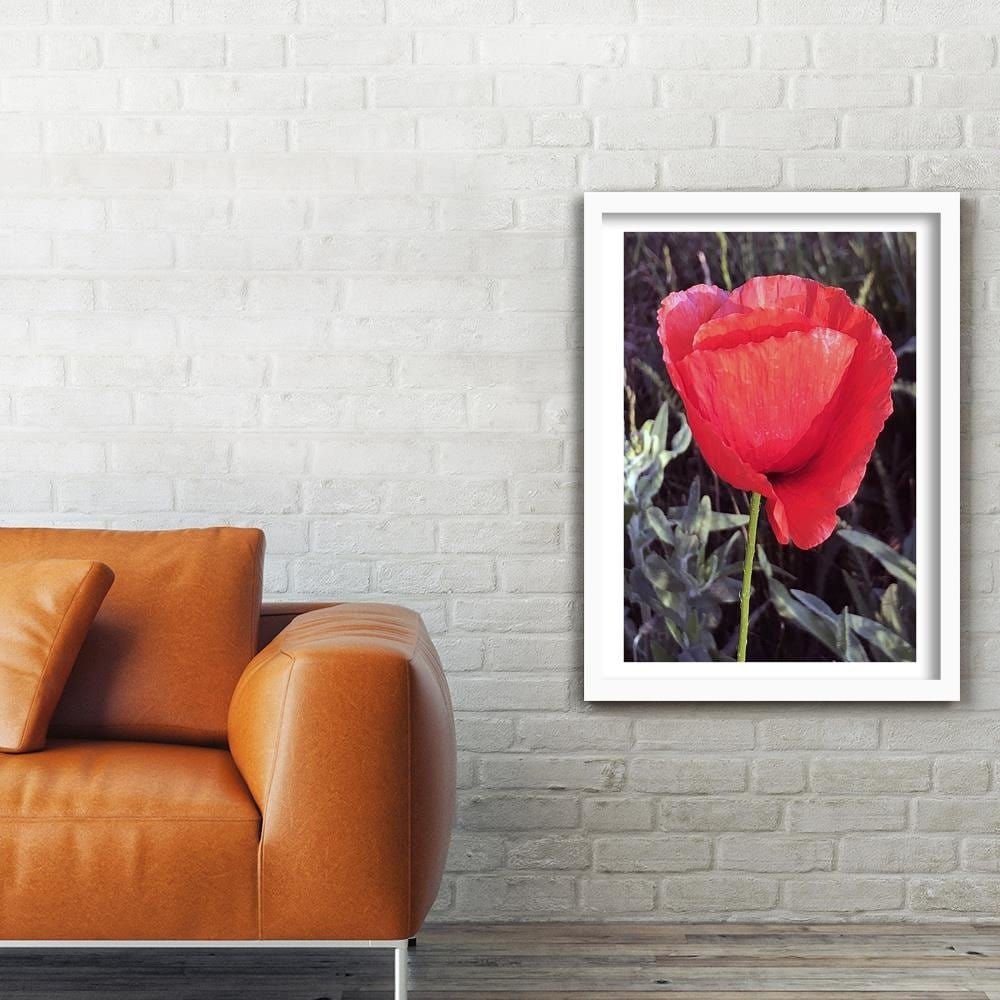 Glezna baltā rāmī - Red Poppy  Home Trends DECO