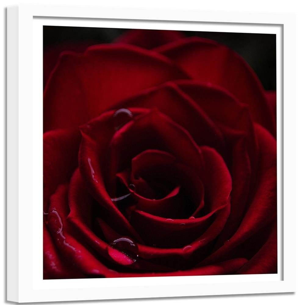 Glezna baltā rāmī - Red Rose  Home Trends DECO