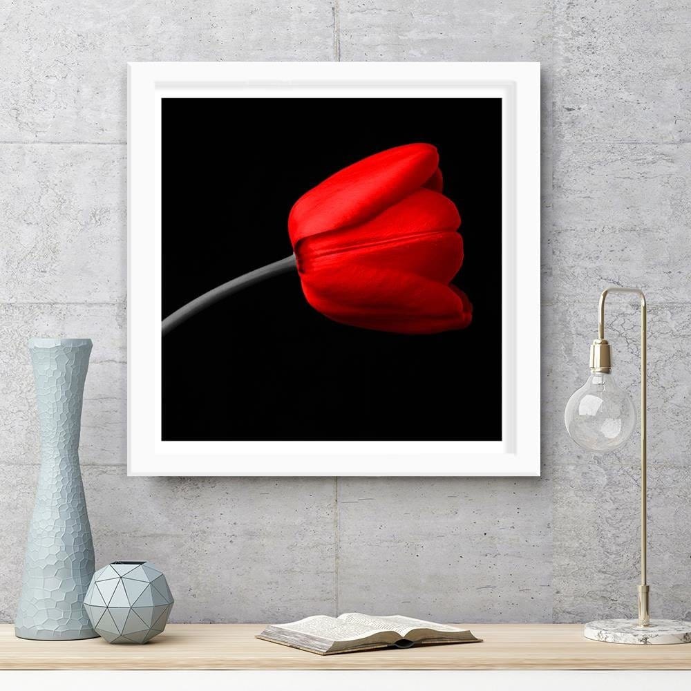 Glezna baltā rāmī - Red Tulip  Home Trends DECO