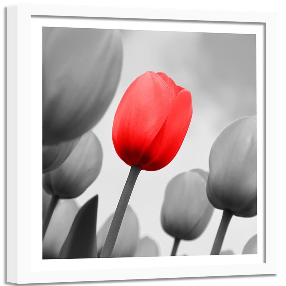 Glezna baltā rāmī - Red Tulip In Gray  Home Trends DECO