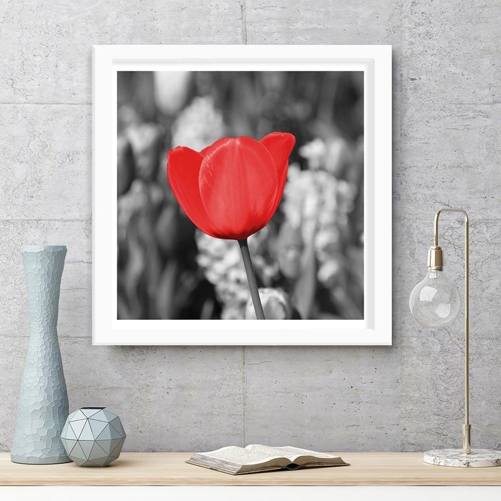 Glezna baltā rāmī - Red Tulip On The Meadow  Home Trends DECO