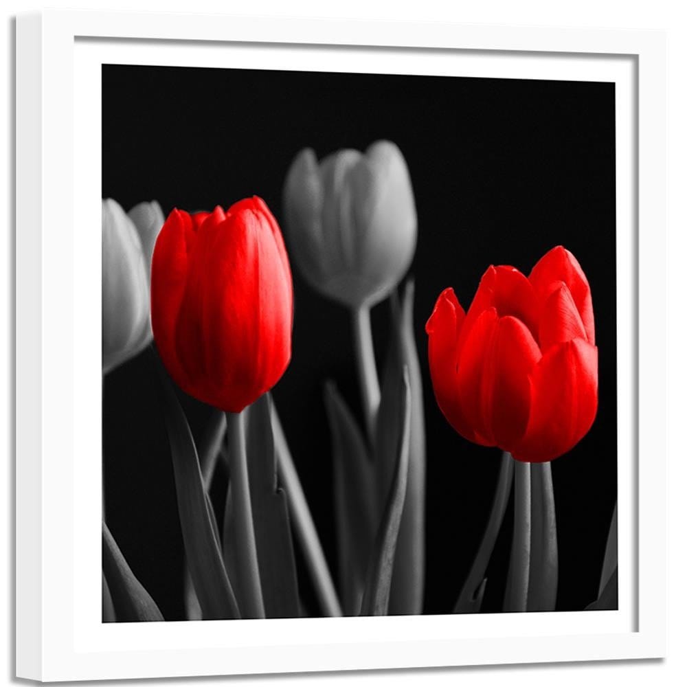 Glezna baltā rāmī - Red Tulips  Home Trends DECO