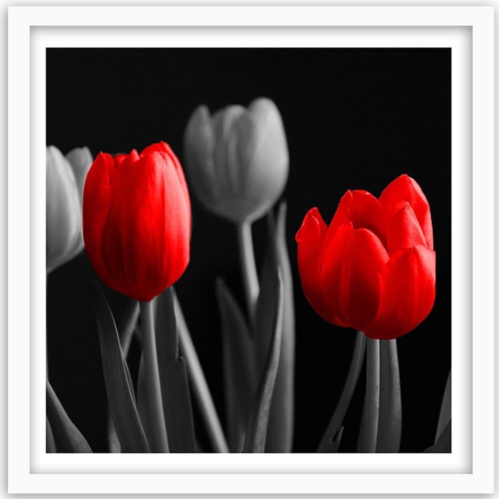 Glezna baltā rāmī - Red Tulips  Home Trends DECO