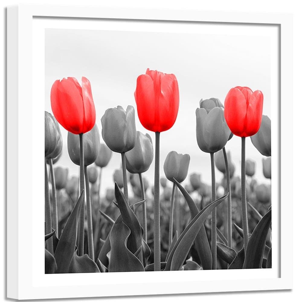Glezna baltā rāmī - Red Tulips On The Meadow  Home Trends DECO