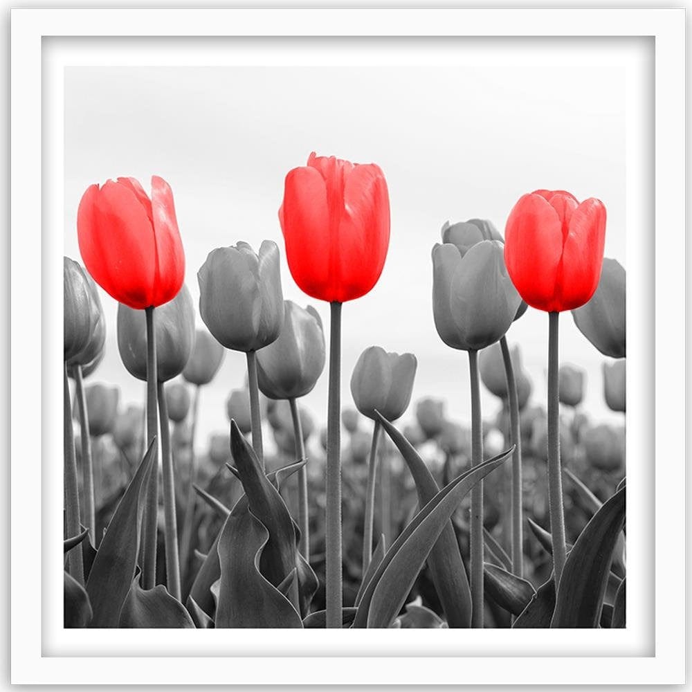 Glezna baltā rāmī - Red Tulips On The Meadow  Home Trends DECO