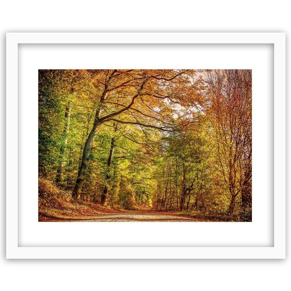 Glezna baltā rāmī - Road In The Autumn Forest  Home Trends DECO