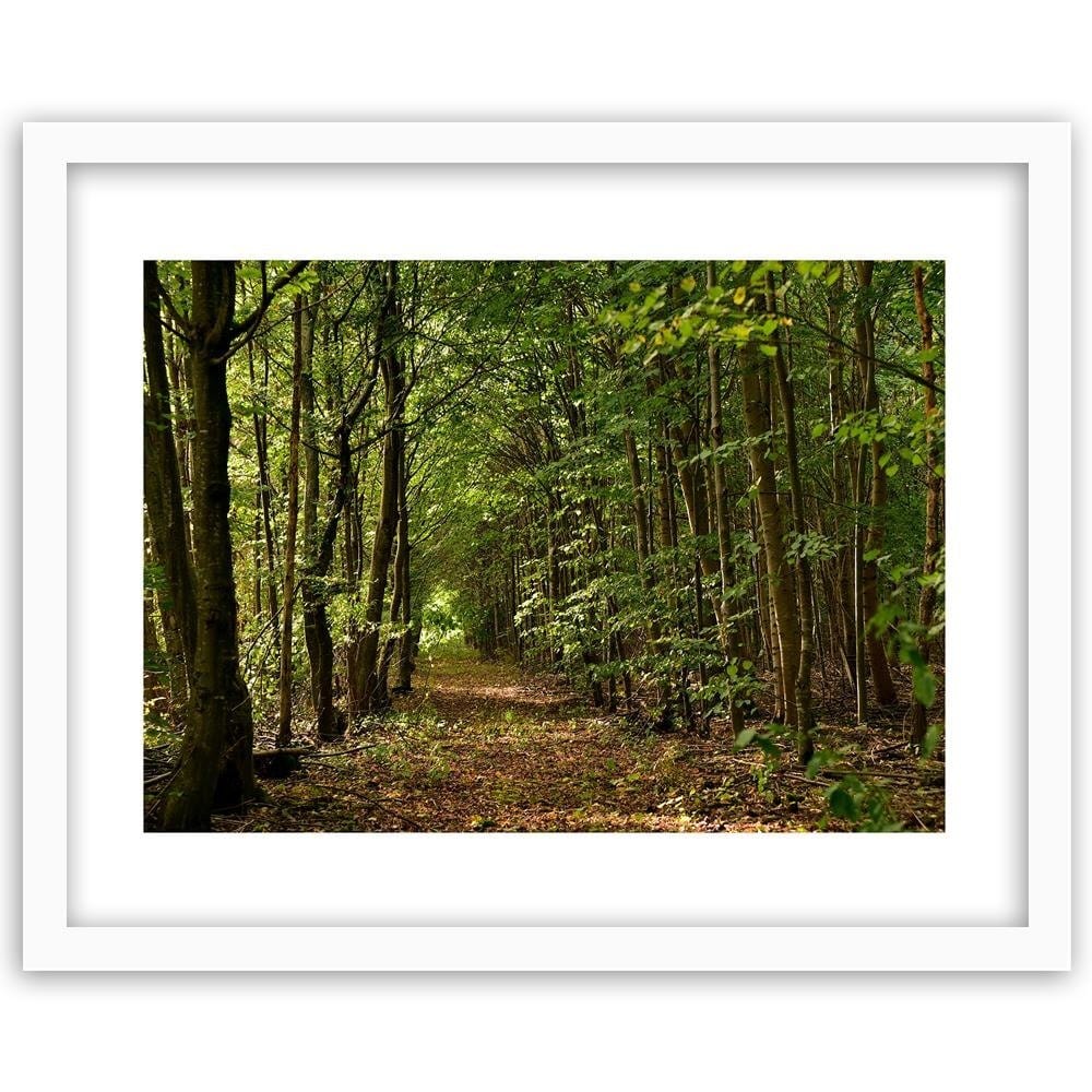 Glezna baltā rāmī - Road In The Dense Forest  Home Trends DECO