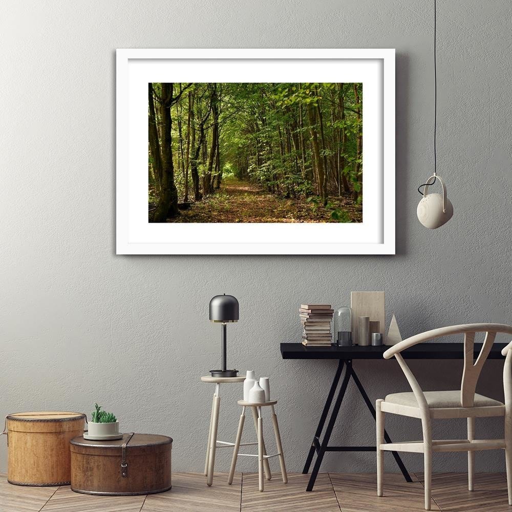 Glezna baltā rāmī - Road In The Dense Forest  Home Trends DECO