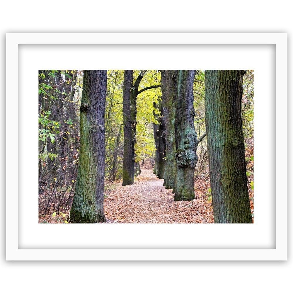 Glezna baltā rāmī - Road In The Park  Home Trends DECO