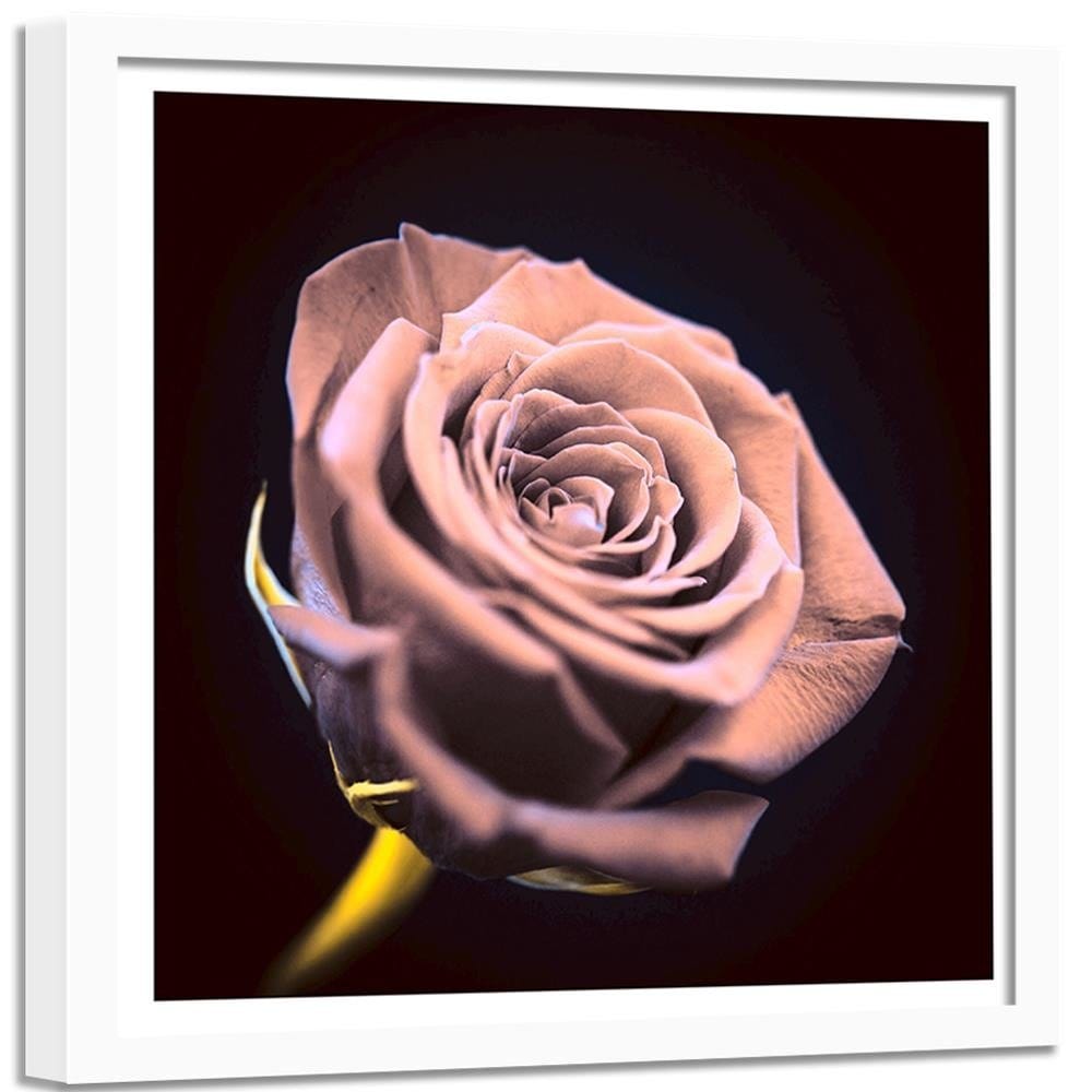 Glezna baltā rāmī - Rose In The Dark  Home Trends DECO