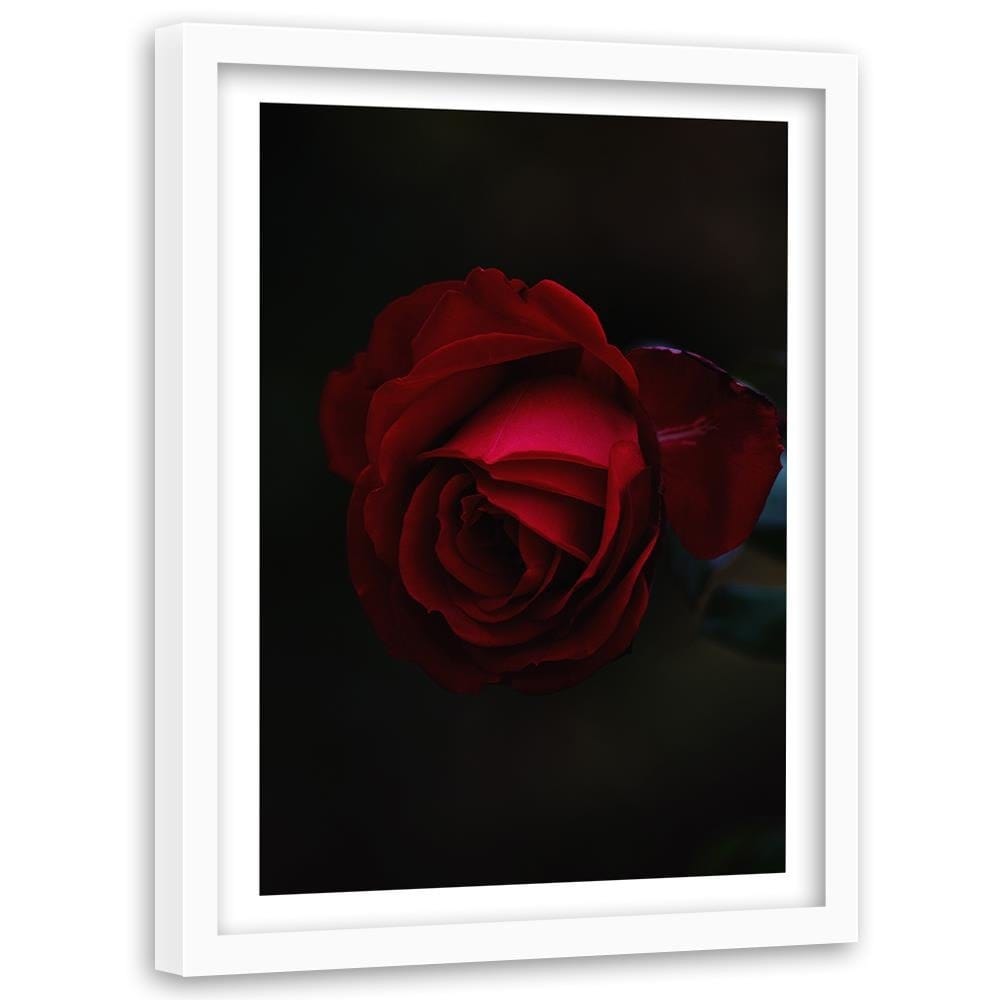 Glezna baltā rāmī - Rose On A Black Background  Home Trends DECO