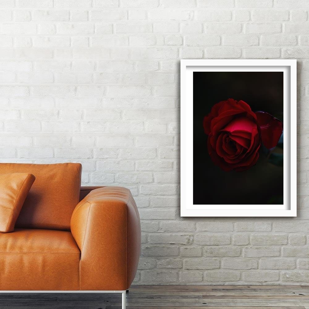 Glezna baltā rāmī - Rose On A Black Background  Home Trends DECO