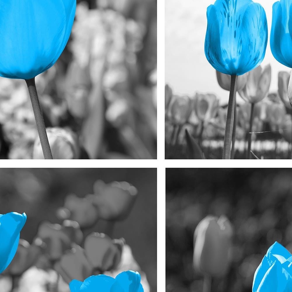 Glezna baltā rāmī - Set Of Blue Tulips  Home Trends DECO