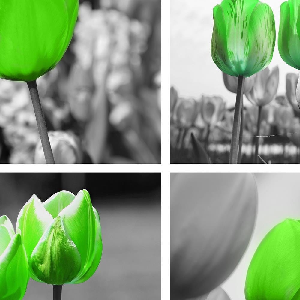 Glezna baltā rāmī - Set Of Green Poppies  Home Trends DECO