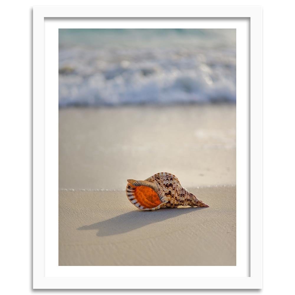 Glezna baltā rāmī - Shell On The Beach  Home Trends DECO