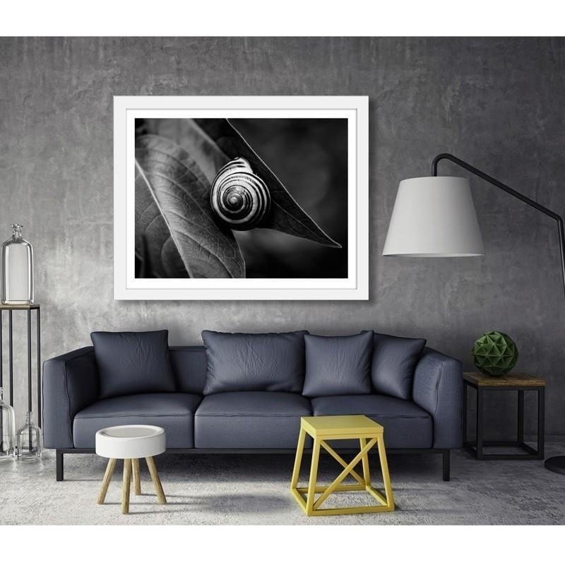 Glezna baltā rāmī - Snail on a leaf in summer  Home Trends DECO