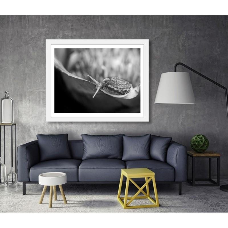 Glezna baltā rāmī - Snail on the plant  Home Trends DECO