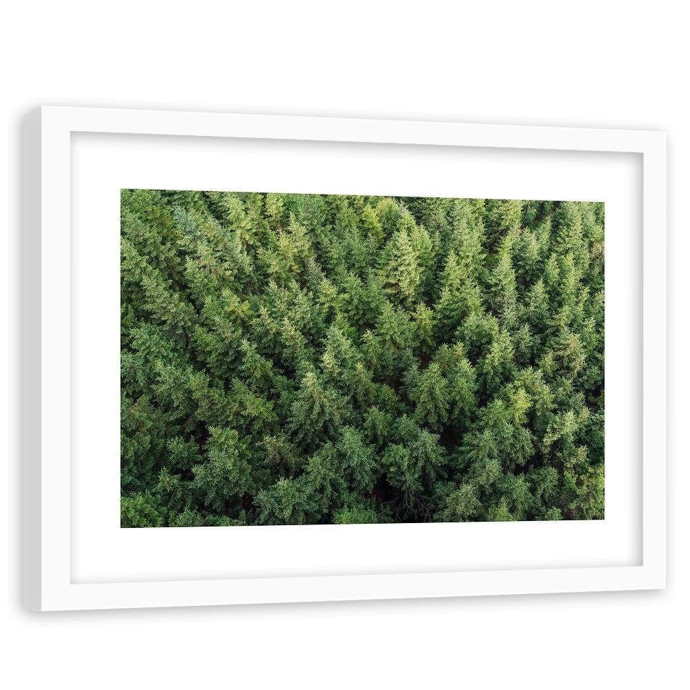 Glezna baltā rāmī - Spruce Forest  Home Trends DECO