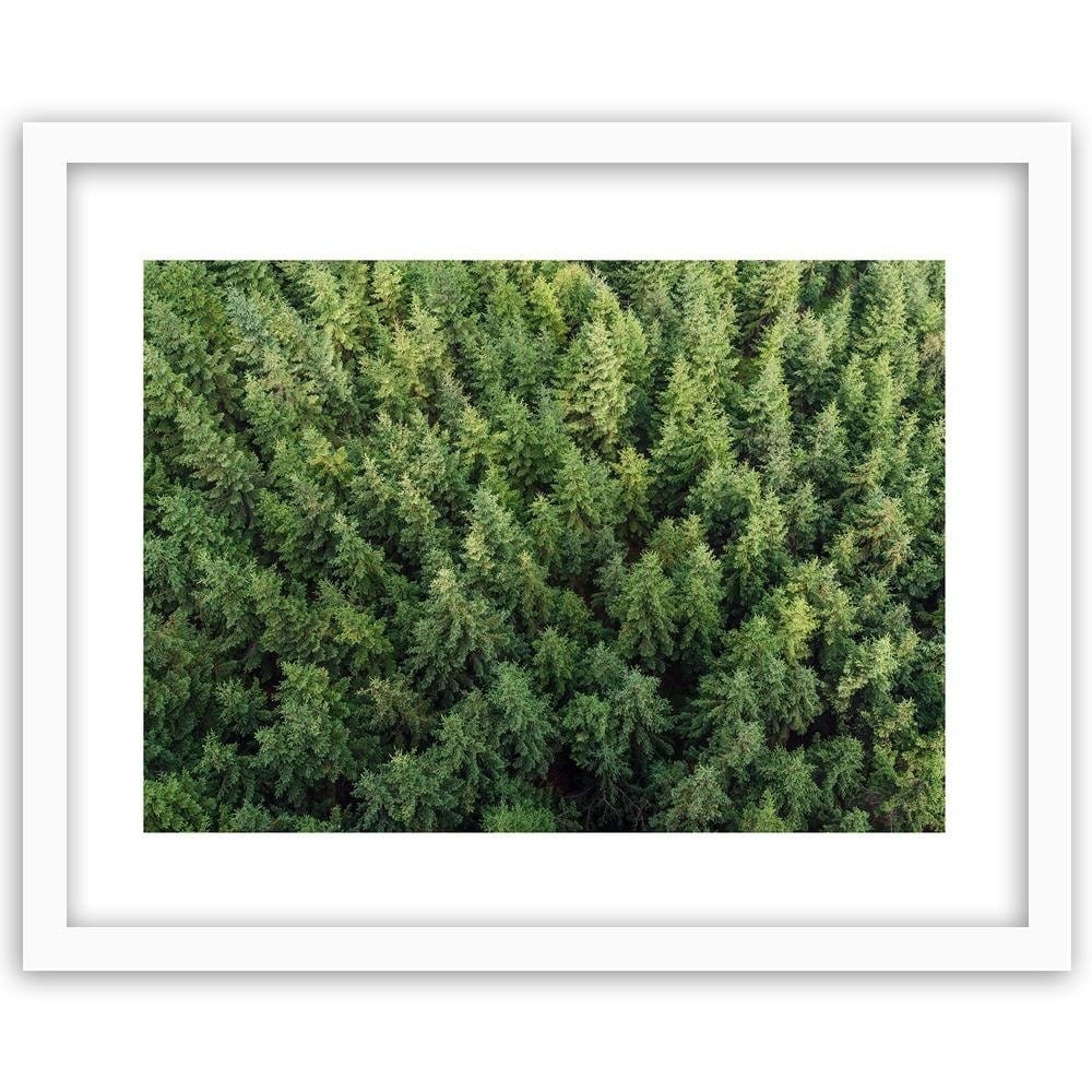 Glezna baltā rāmī - Spruce Forest  Home Trends DECO