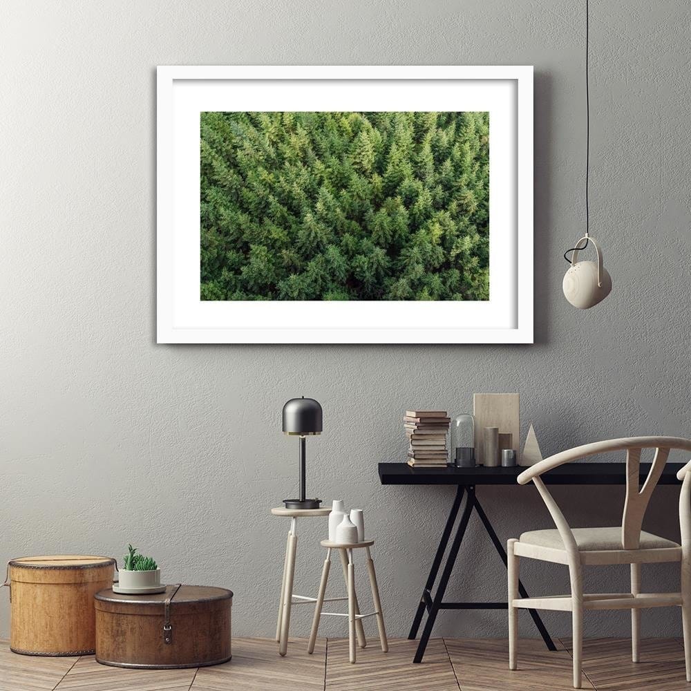 Glezna baltā rāmī - Spruce Forest  Home Trends DECO
