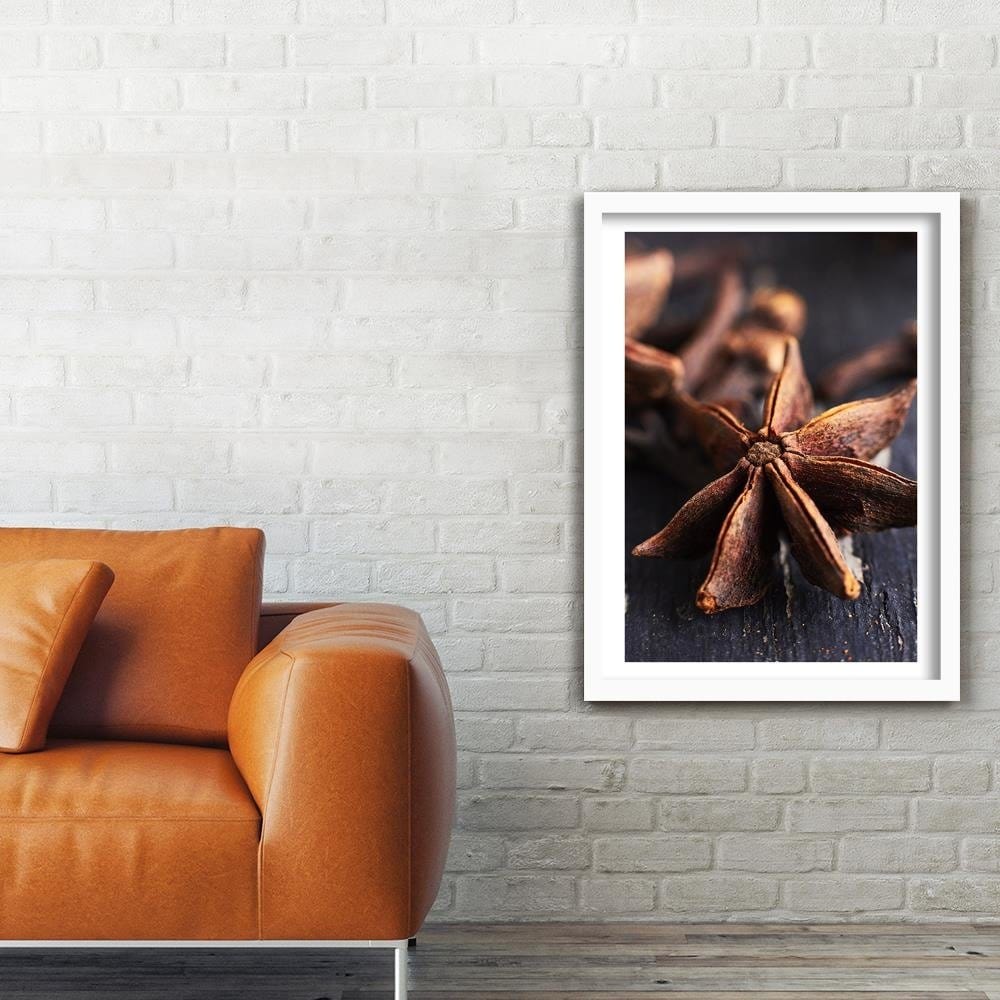Glezna baltā rāmī - Star Anise  Home Trends DECO
