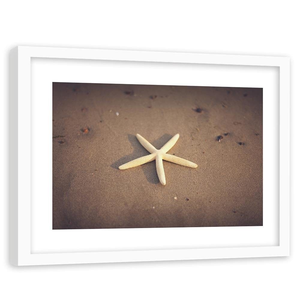 Glezna baltā rāmī - Starfish  Home Trends DECO