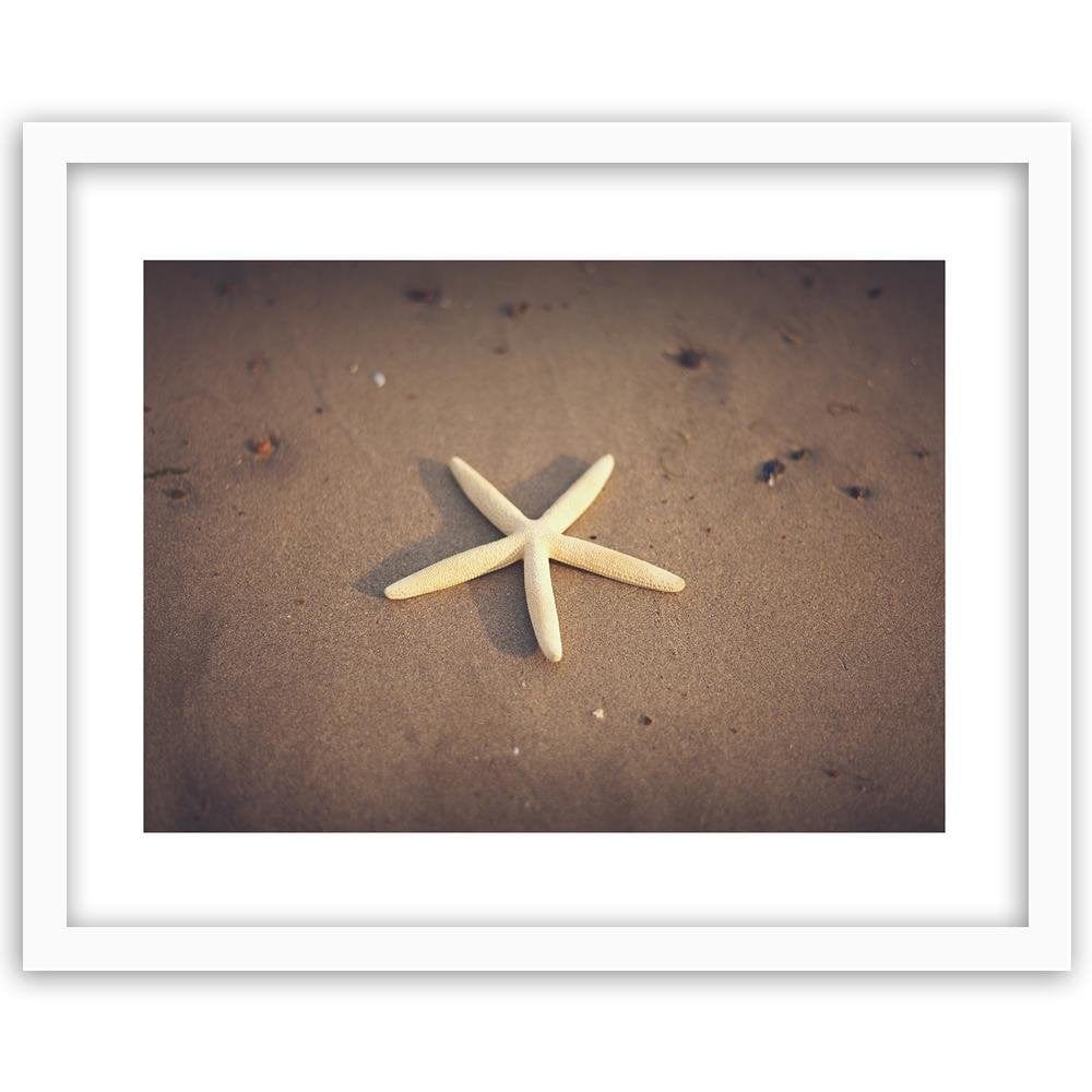 Glezna baltā rāmī - Starfish  Home Trends DECO