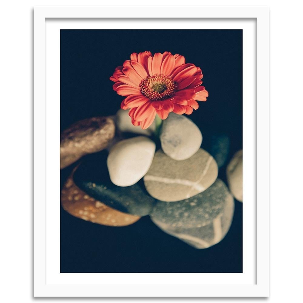 Glezna baltā rāmī - Stones And Red Flower  Home Trends DECO