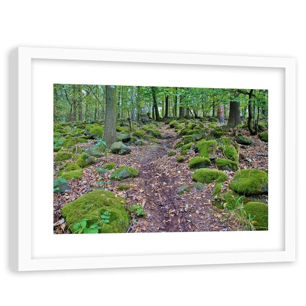Glezna baltā rāmī - Stones Covered With Moss  Home Trends DECO