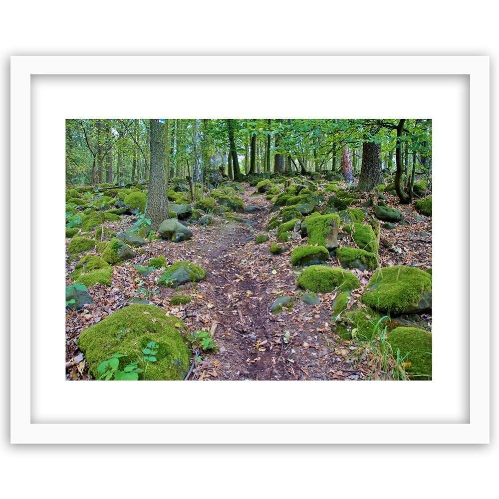 Glezna baltā rāmī - Stones Covered With Moss  Home Trends DECO