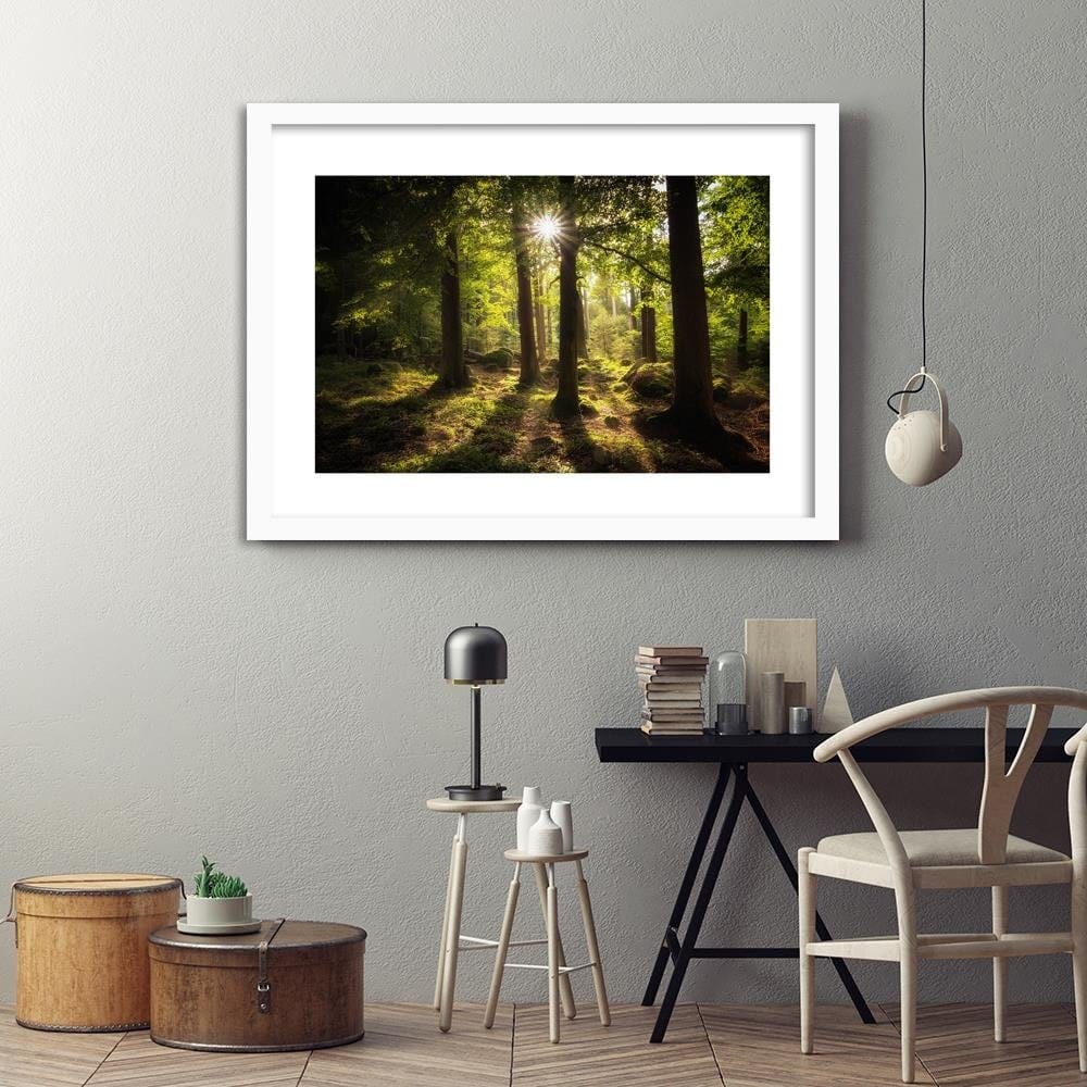Glezna baltā rāmī - Stones In Moss  Home Trends DECO